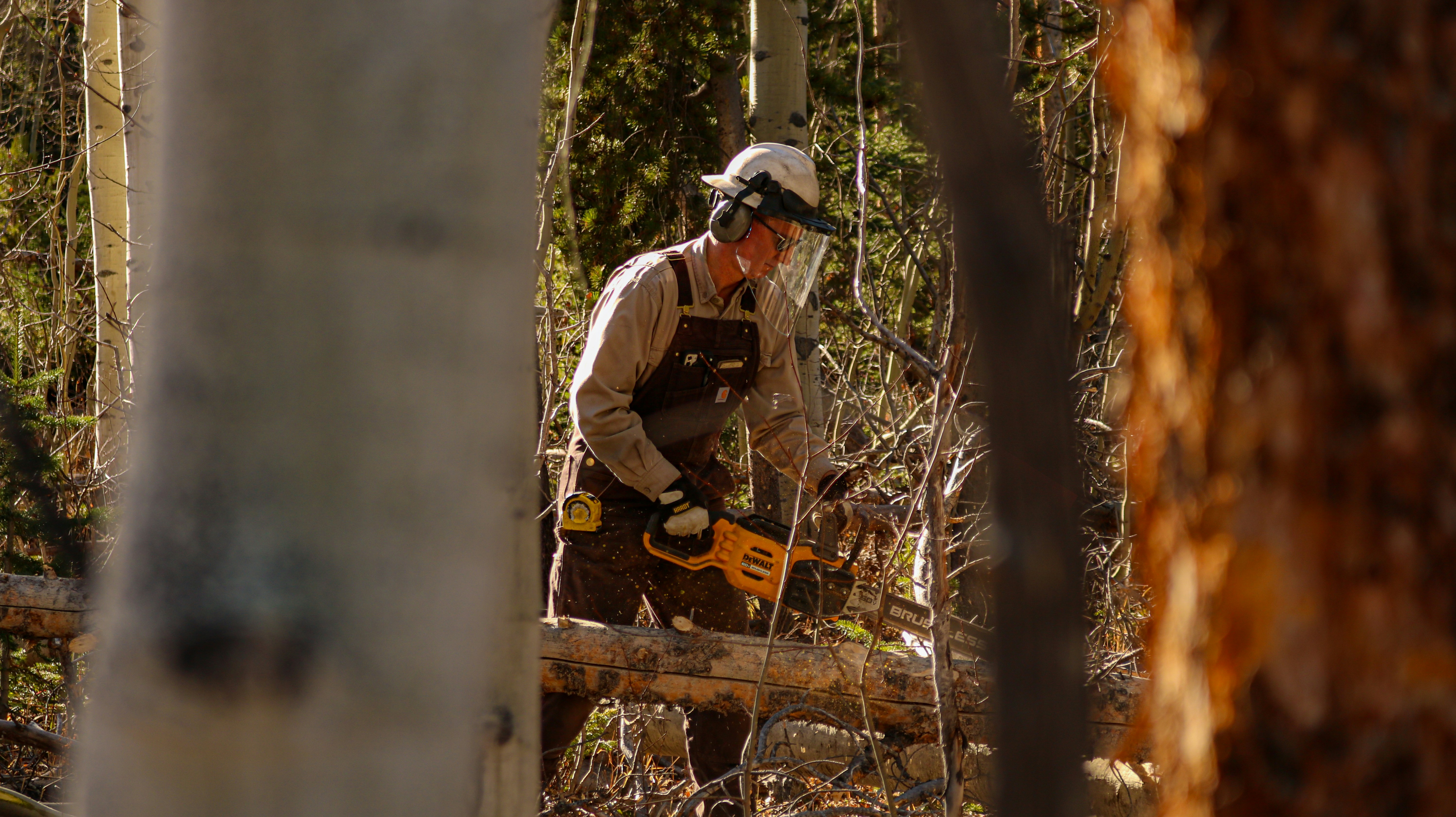 Tree Service Culpeper, VA