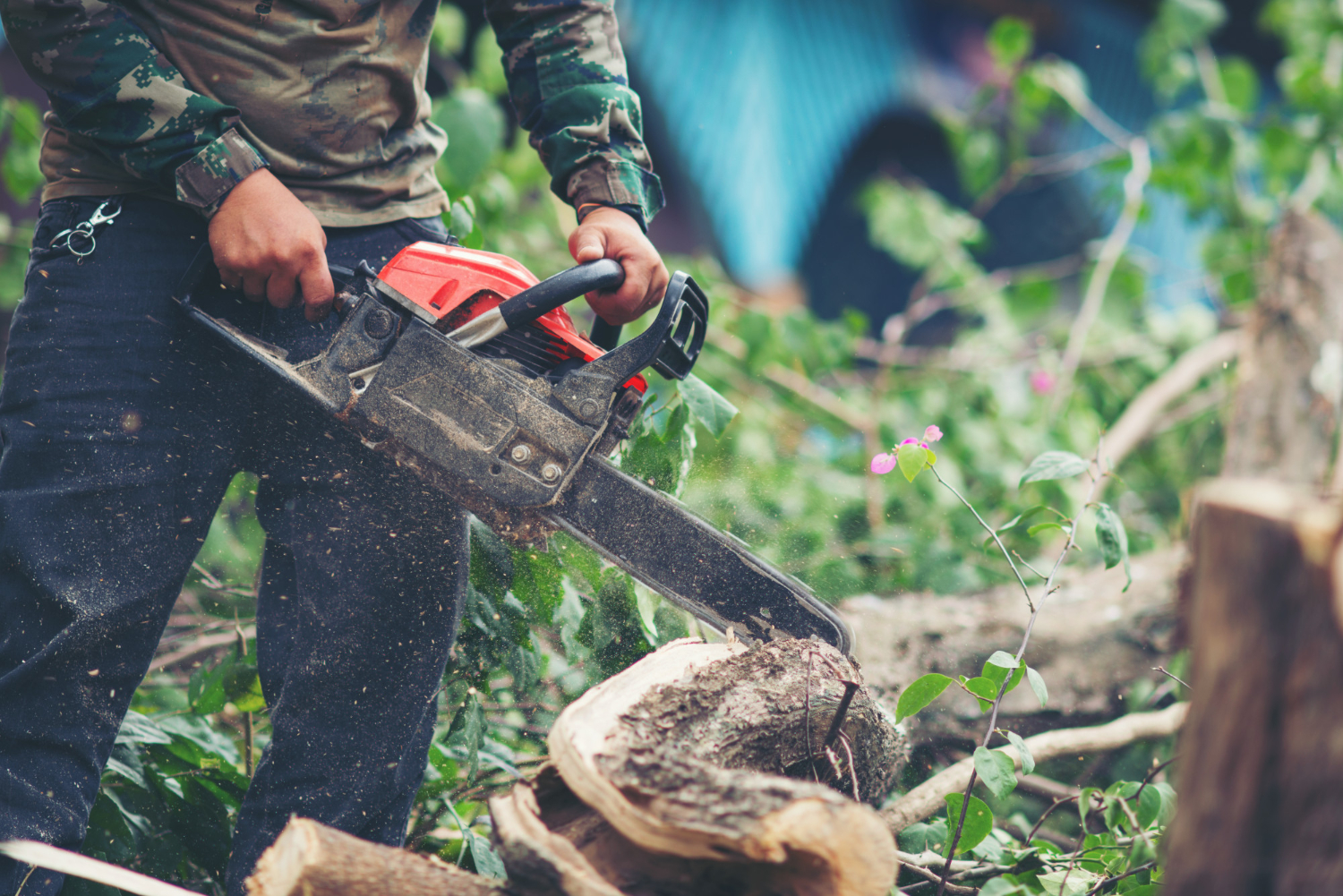 Land Clearing